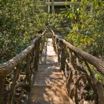 Black Mountain Craftsman outdoor bridge