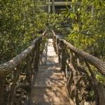 Black Mountain Craftsman outdoor bridge